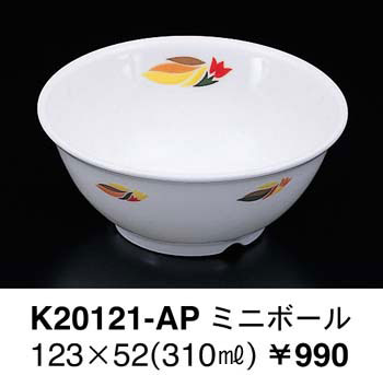 K20121-AP